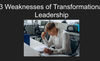 3 weaknesses of transformational leadership